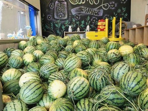 2026内娱首爆大瓜！司晓迪自曝睡遍顶流引发轩然大波