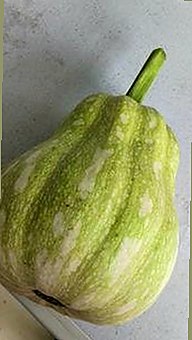 凤姐揭秘娱乐圈幕后：溜溜梅与吃瓜神器的故事线